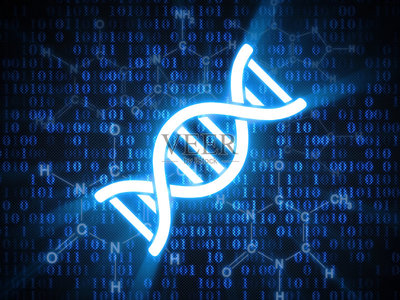 脫氧核糖核酸,螺旋,染色體,生物科技,分子結(jié)構(gòu)