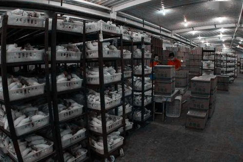 毫不放松抓防控 穩(wěn)妥有序抓生產(chǎn)