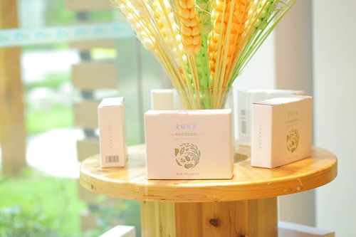 食品安全的金字塔頂端站的不是別人,是 有機