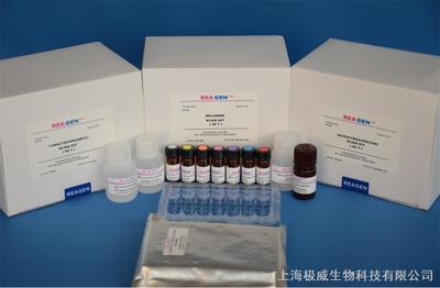 人堿性成纖維細(xì)胞生長(zhǎng)因子9(bFGF-9)elisa試劑盒_上海極威生物科技_耗材產(chǎn)品_阿儀網(wǎng)