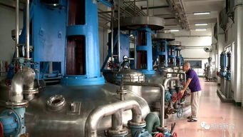 新會(huì)昂首闊步走創(chuàng)新驅(qū)動(dòng)發(fā)展之路,奏響 第一動(dòng)力 的時(shí)代樂章