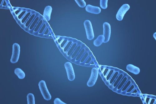 朗坤環境榮登 財富 中國科技50強,生物科技引領未來發展