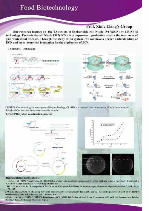 國際會議精彩回顧